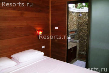 Coconut Paradise 11